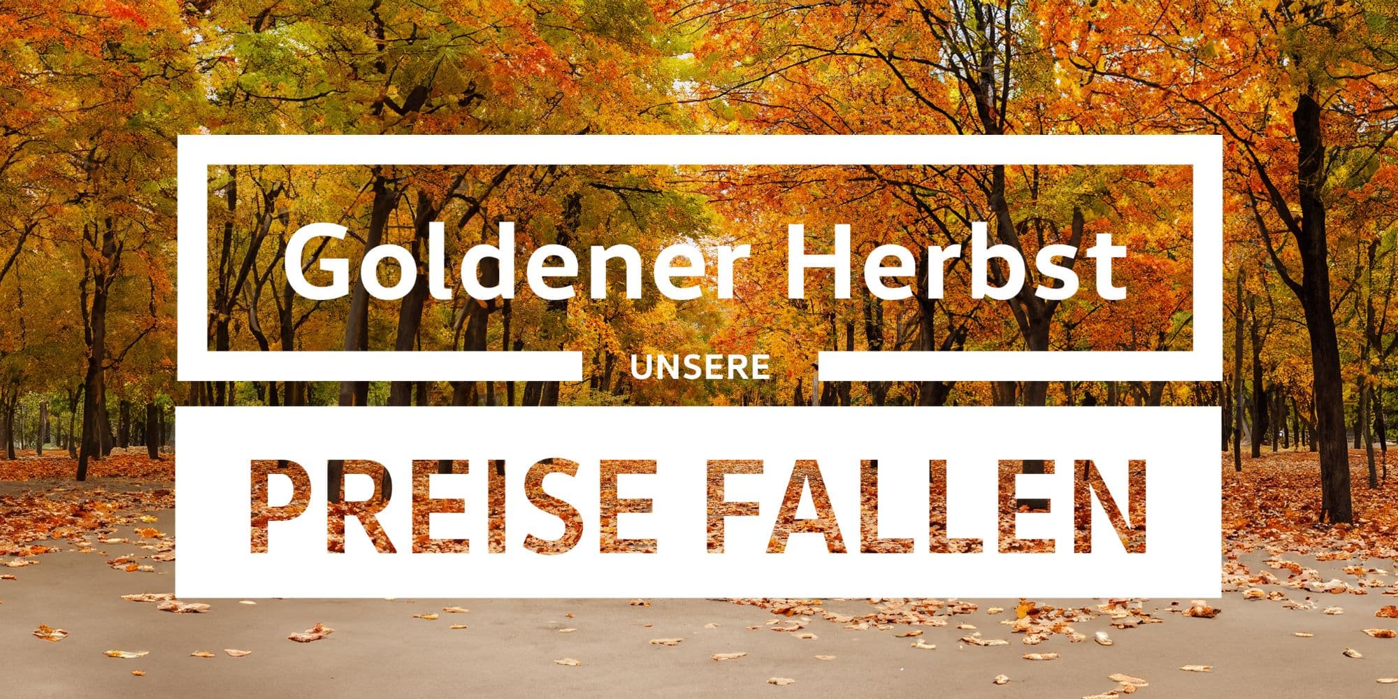 Header Goldener Herbst.jpg