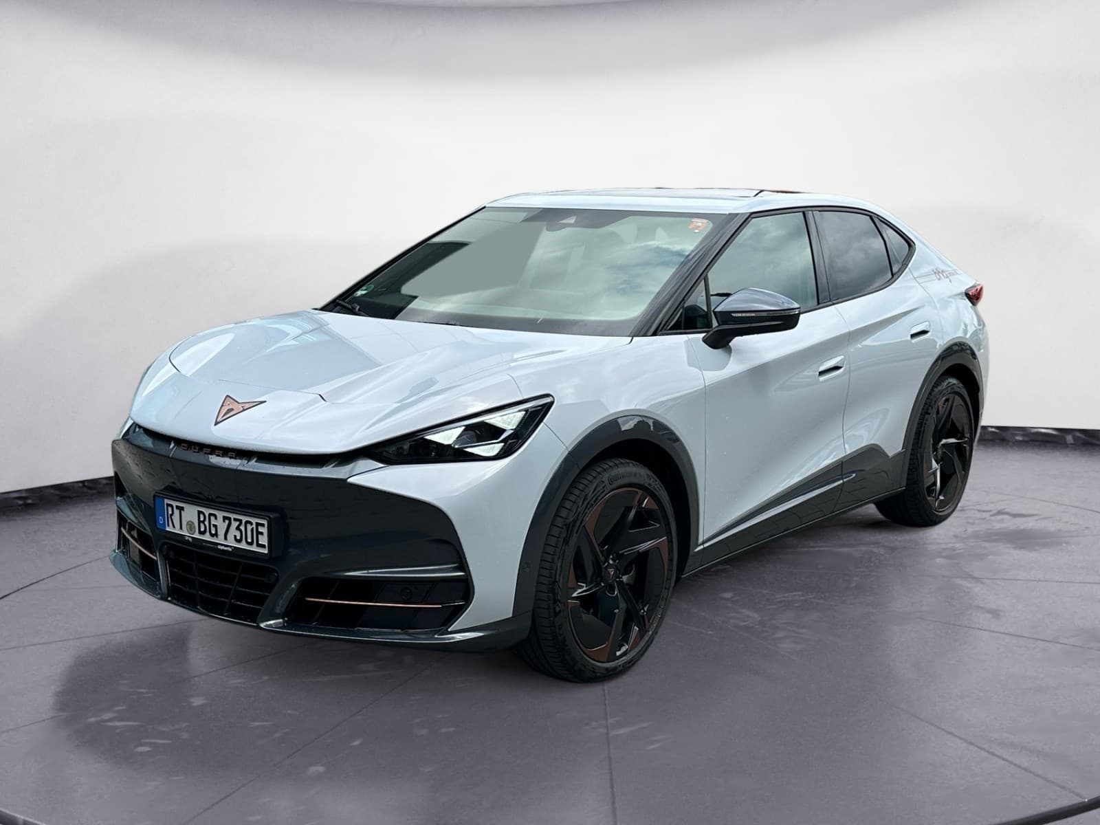 Cupra - Tavascan Endurance 