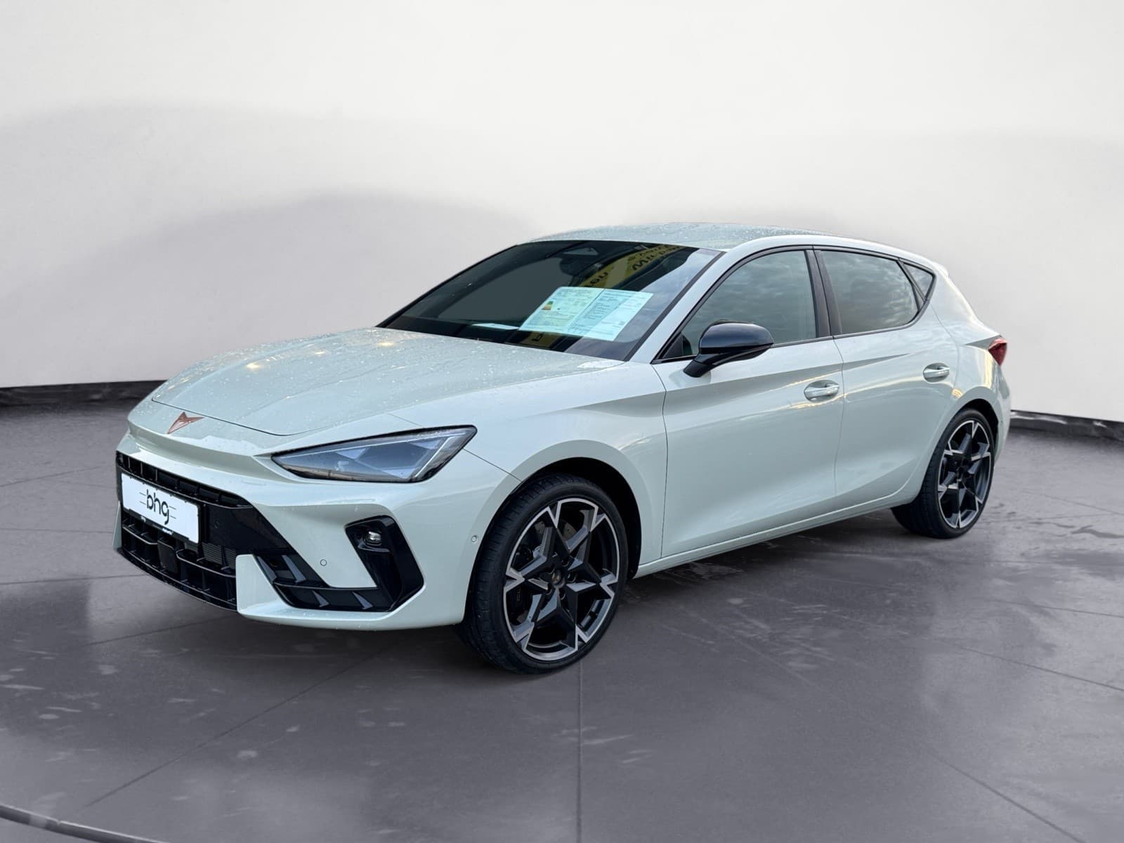 Cupra - Leon VZ 2.0 TSI  7-Gang-DSG