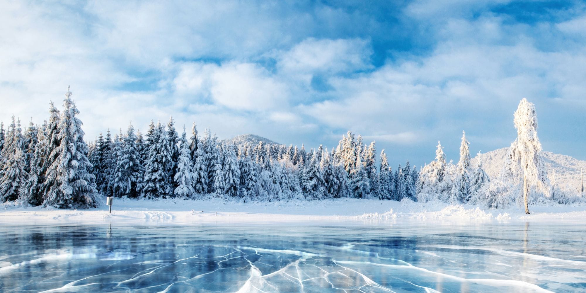 Feiern Sie mit uns den bhg Fast Start 2026