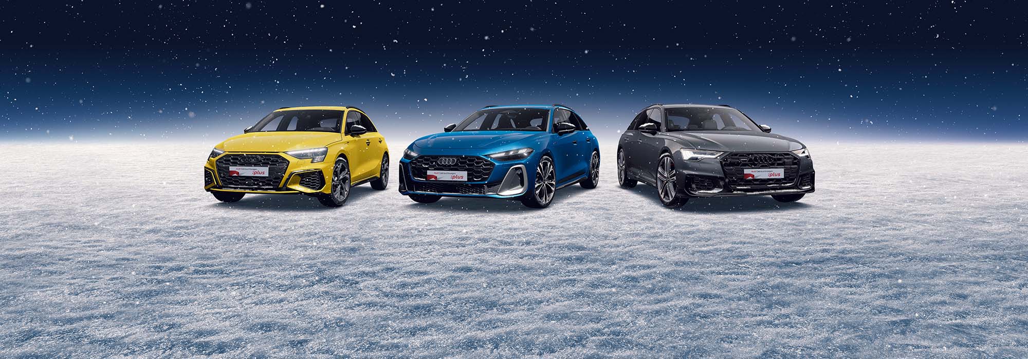 Audi Gebrauchtwagen :plus Winterleasing