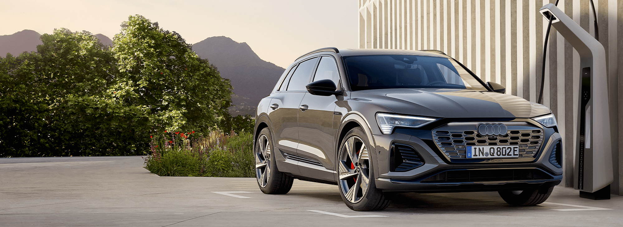 Audi Q8 advanced 55 e-tron quattro