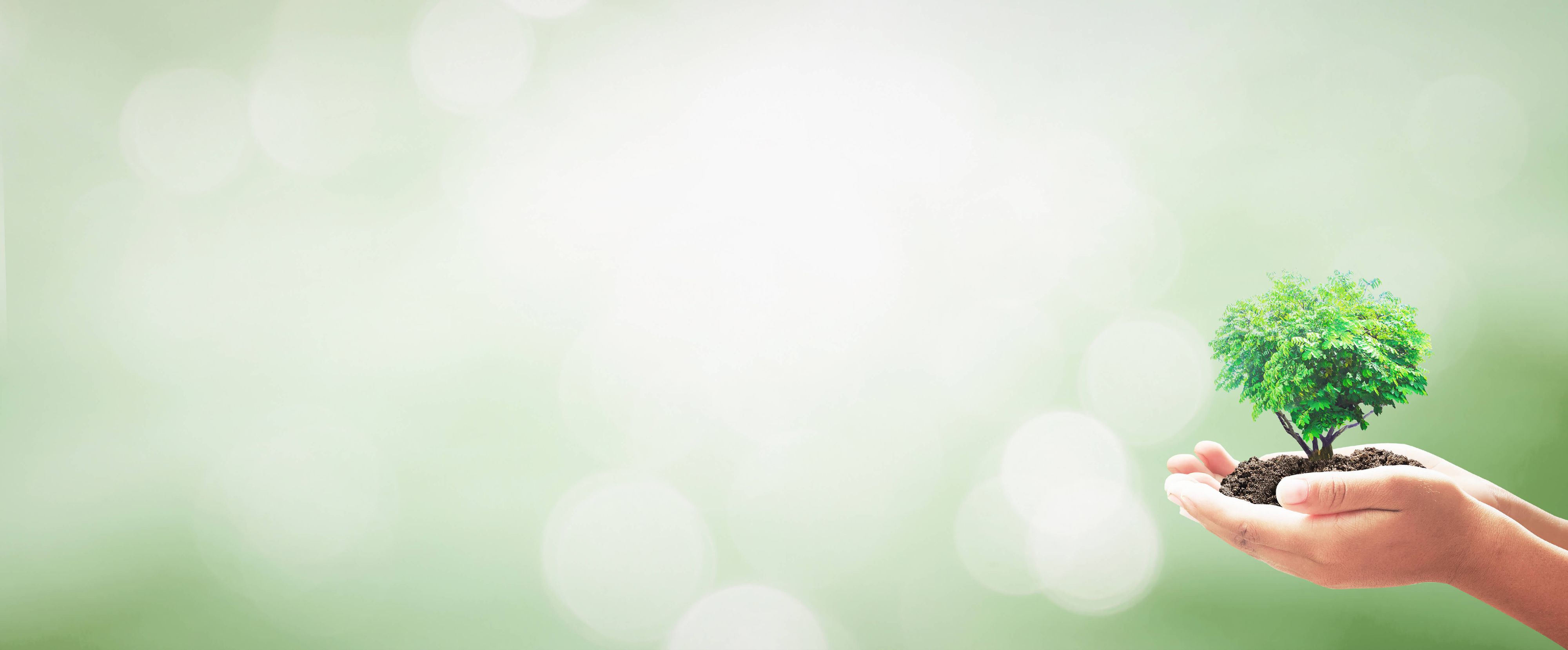 iStock-922729780.jpg