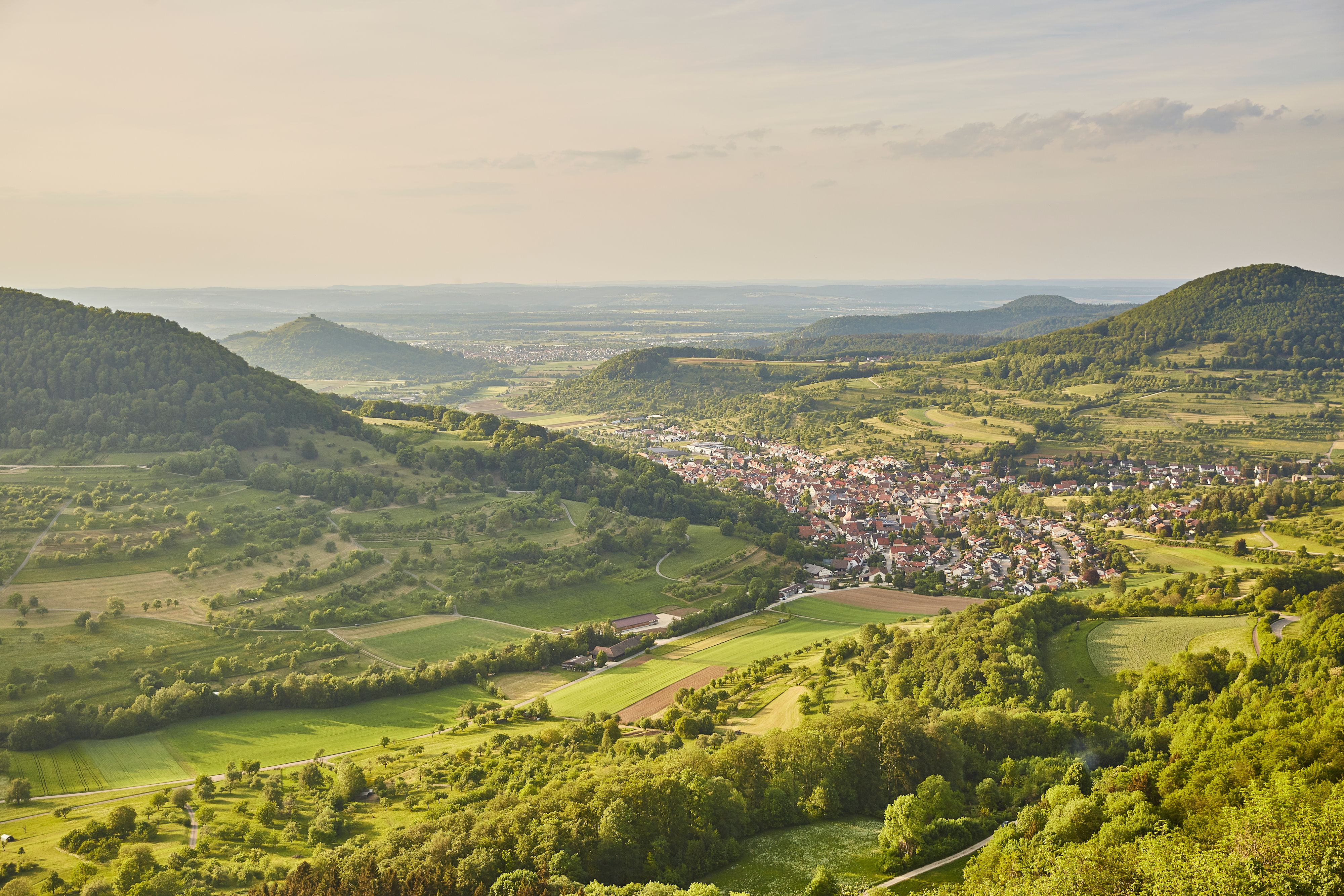 iStock-961951066.jpg