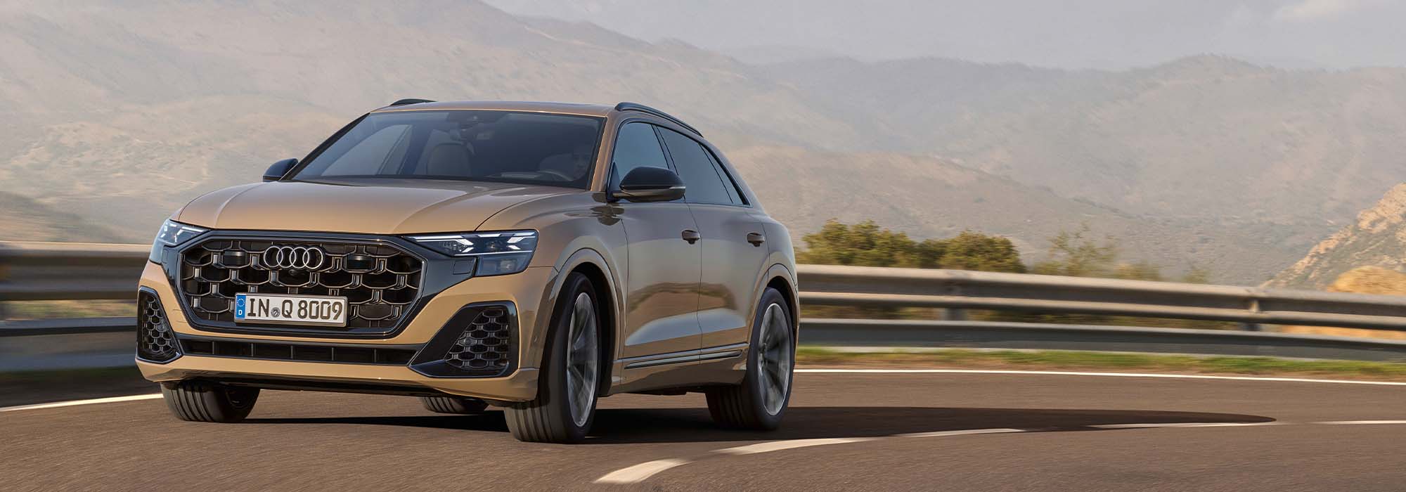 Audi Q8 SUV 50 TDI quattro 210(286) kW(PS) tiptronic