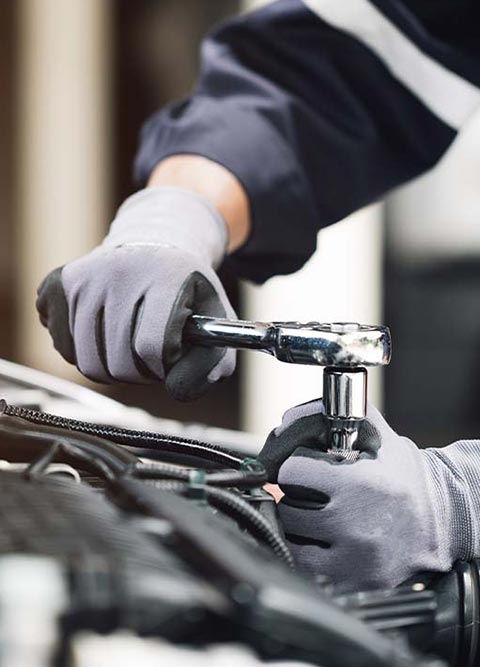 Skoda-Service-&-Zubehör.jpg