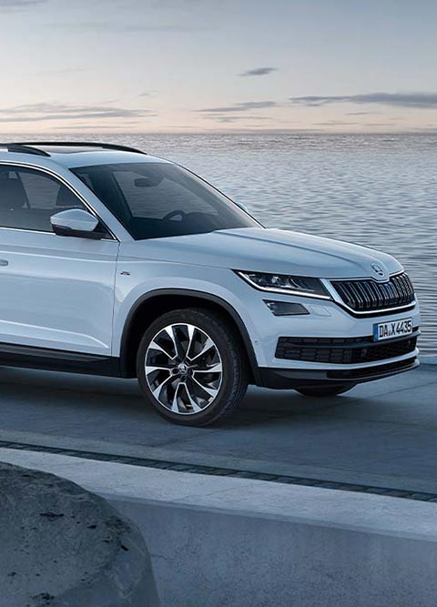 Skoda-Aktionsangebote.jpg