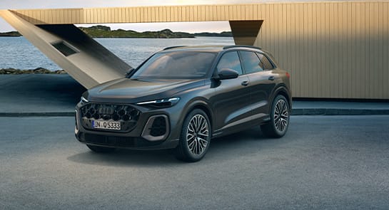 Audi Jahreswagen Werksdienstwagen.jpg