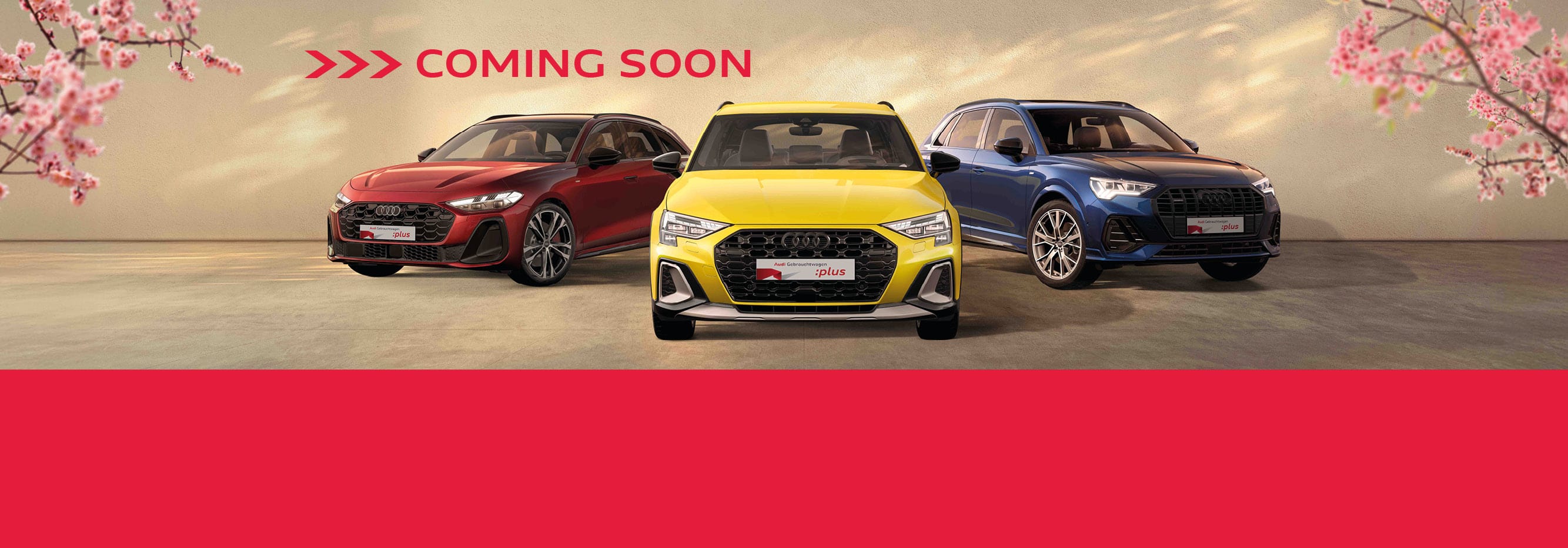 Audi Gebrauchtwagen :plus